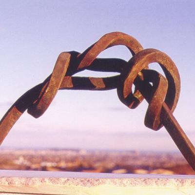 Jorge Castro Florez Lazos Media Braza