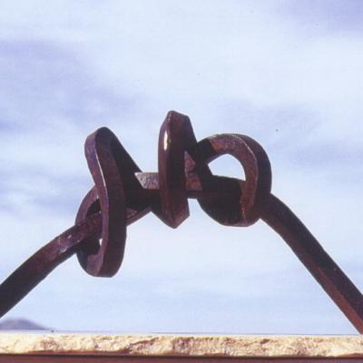 Jorge Castro Florez Lazos Peso